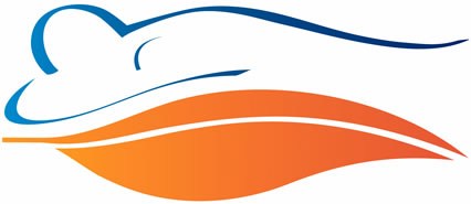 Logo Praxis für Schmerz- und Palliativtherapie